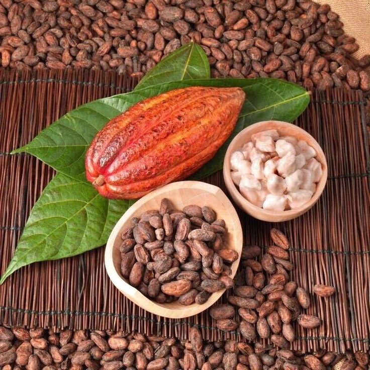 From Bean to Bar: A Comprehensive Guide to Cocoa Farming and the Journey to Delight Consumers